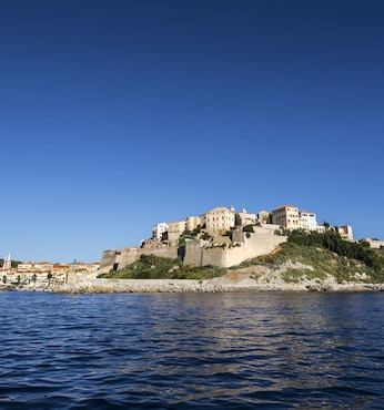 Calvi