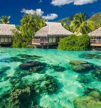 Moorea (Polinesia Francesa)
