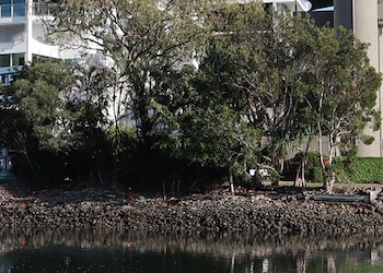 Maroochydore QLD