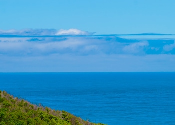 Cabo Otway VIC