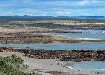 Trelew