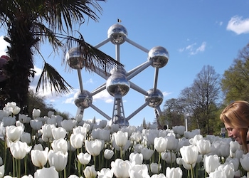 Bruxelas
