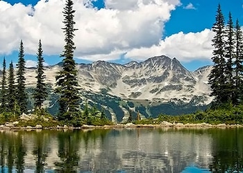 Whistler