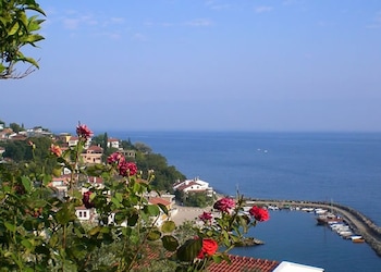 Bursa/Bursa Province