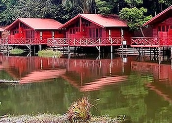 Manaus  AM