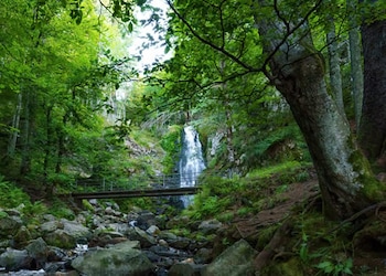 Todtnau