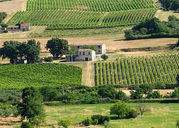 Castrovillari Cosenza