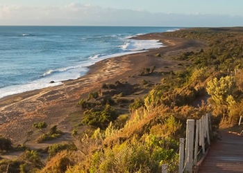 Peninsula Valdes - Chubut