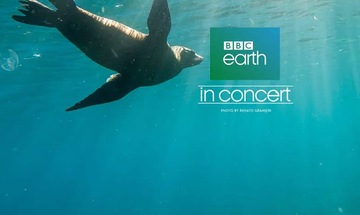 Experiences Earth