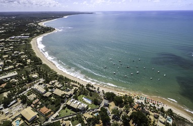 Palmas