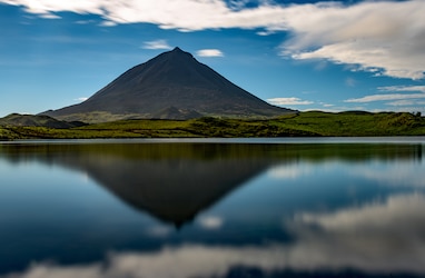 Pico