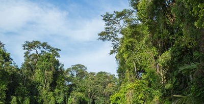 Tortuguero, Arenal e Manuel Antonio