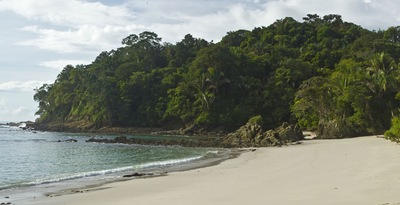 Tortuguero, Arenal, Monteverde e Manuel Antonio