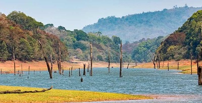 Sul da Índia com Lago Periyar