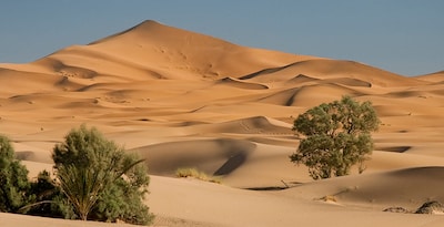 Marraquexe e Deserto