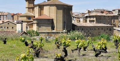 Percurso através do País Basco e Rioja Alavesa -Vinho, Gastronomia e Paisagens
