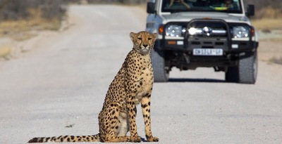 Percurso do Parque Natural de Etosha ao Deserto do Namibe