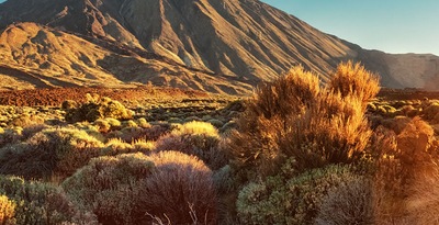 Gran Canária, Tenerife e Lanzarote