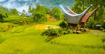 Sulawesi e Bali
