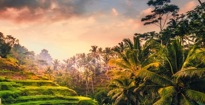 Singapura, Lovina, Candidasa, Ubud e Praias do Sul de Bali