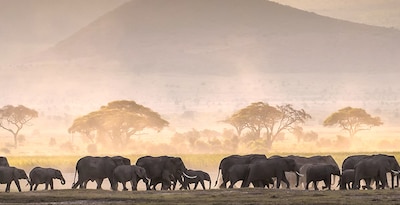 Safari na Tanzânia com Lago Eyasi
