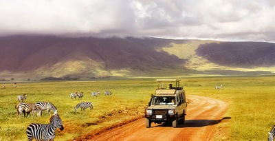 Arusha, Kilimanjaro, Tarangire, Serengeti e Ngorongoro
