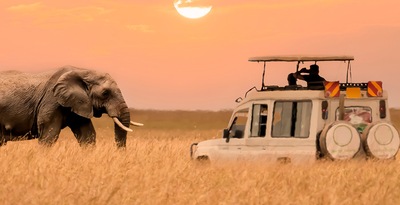 Arusha, Kilimanjaro, Tarangire, Serengeti, Ngorongoro e Lago Eyasi