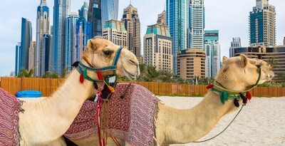 Percurso pelos Quatro Emirados Árabes