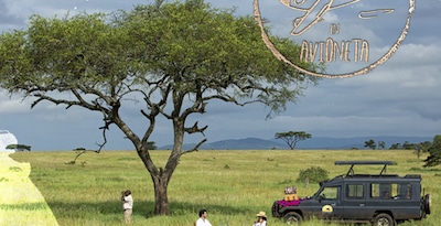 Safari de luxo de avioneta em Serengeti e Ngorongoro