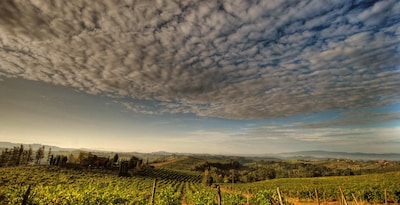 Florença e o melhor da Toscana, com degustação de vinhos
