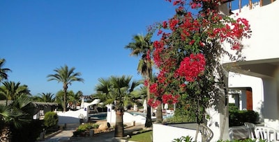Petunia Ibiza, A Beaumier Hotel