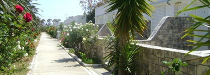 Hotel San Marcos