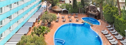 H10 Delfin (Only Adults)