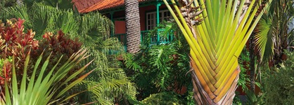Hacienda San Jorge