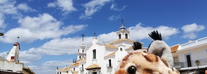 Gran Hotel Del Coto