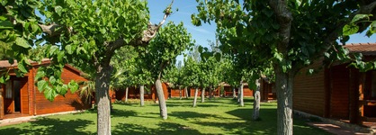 La Llosa