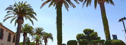Hotel San Carlos