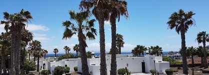 Palmeras Garden