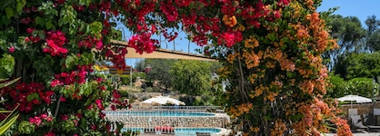 Quinta Do Paraíso