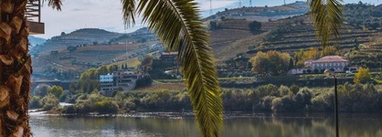 Hotel Regua Douro
