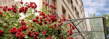 Hotel Niky