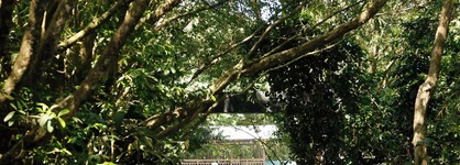 Turtle Beach Lodge