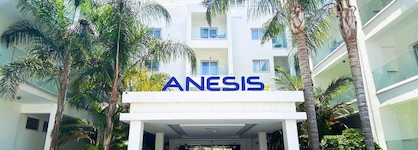 Anesis