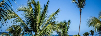 Majestic Colonial Punta Cana -  All Inclusive