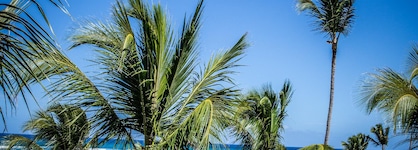 Majestic Colonial Punta Cana -  All Inclusive