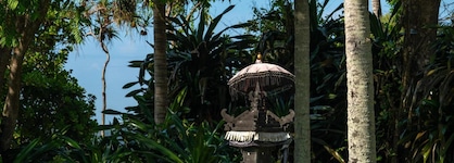 Alila Manggis