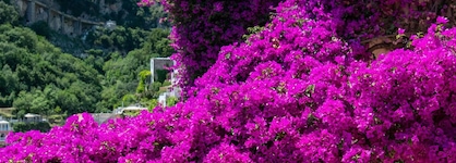 Positano Art Hotel Pasitea