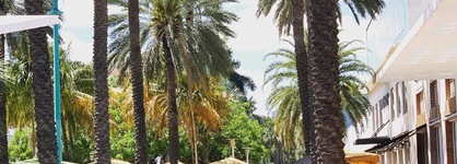 Kimpton Surfcomber Hotel, An Ihg Hotel