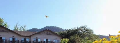 Temecula Creek Inn