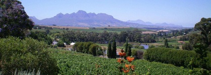 The Devon Valley Hotel